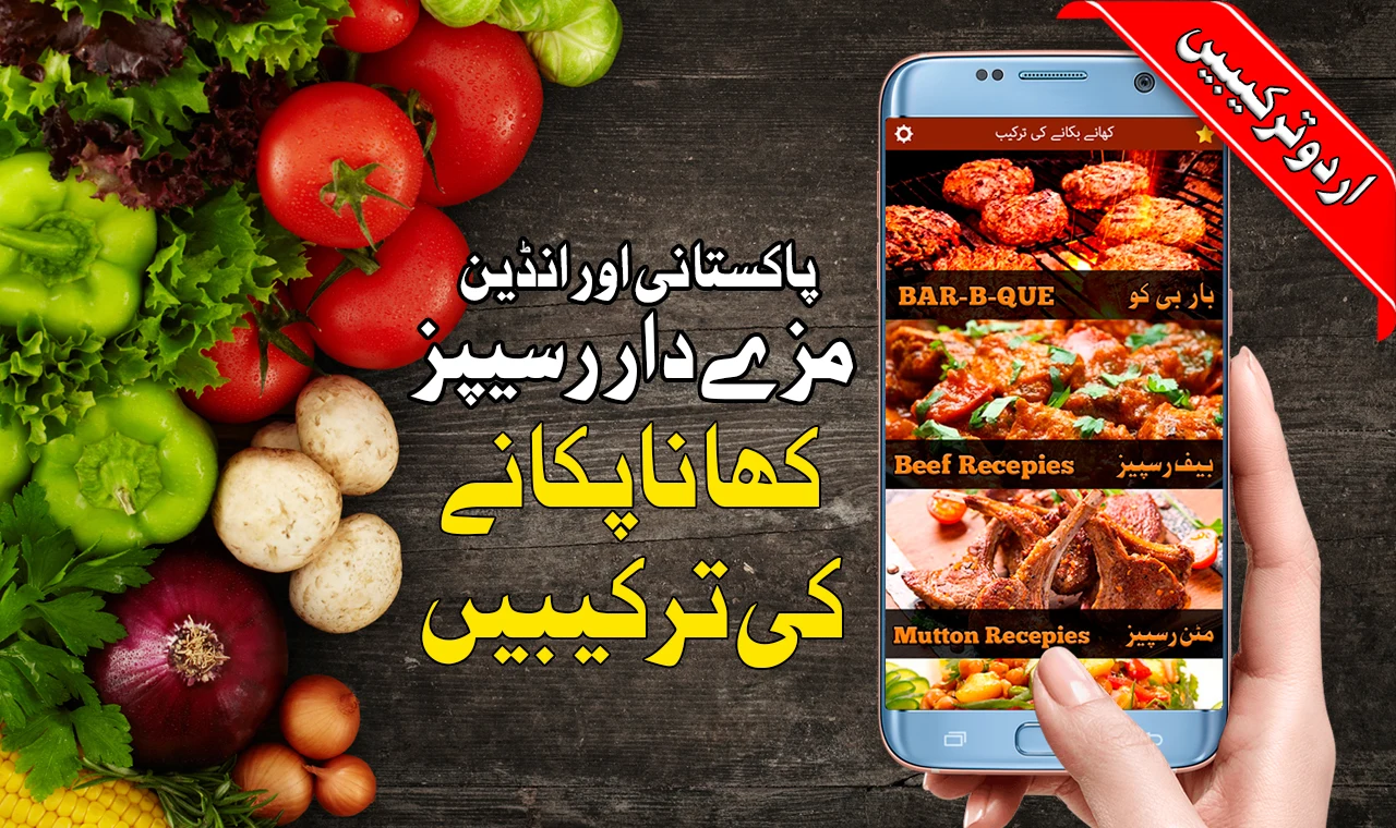 Pakistani Food Recipes screenshot