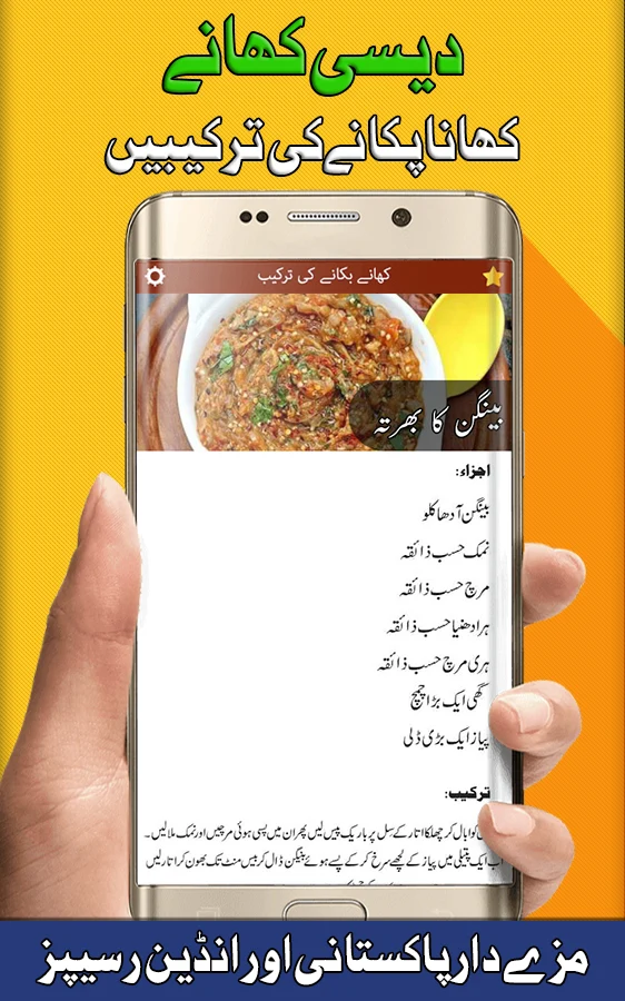 Pakistani Food Recipes screenshot