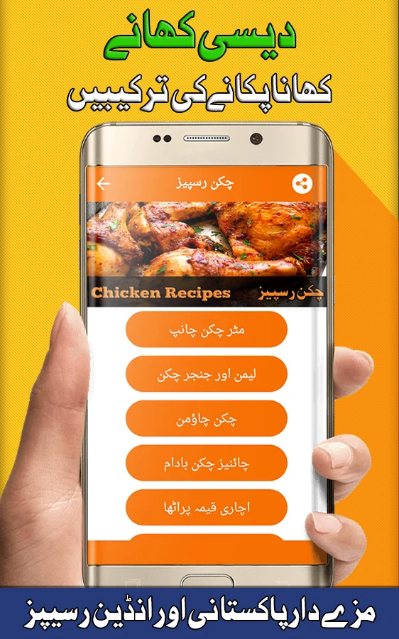Pakistani Food Recipes screenshot