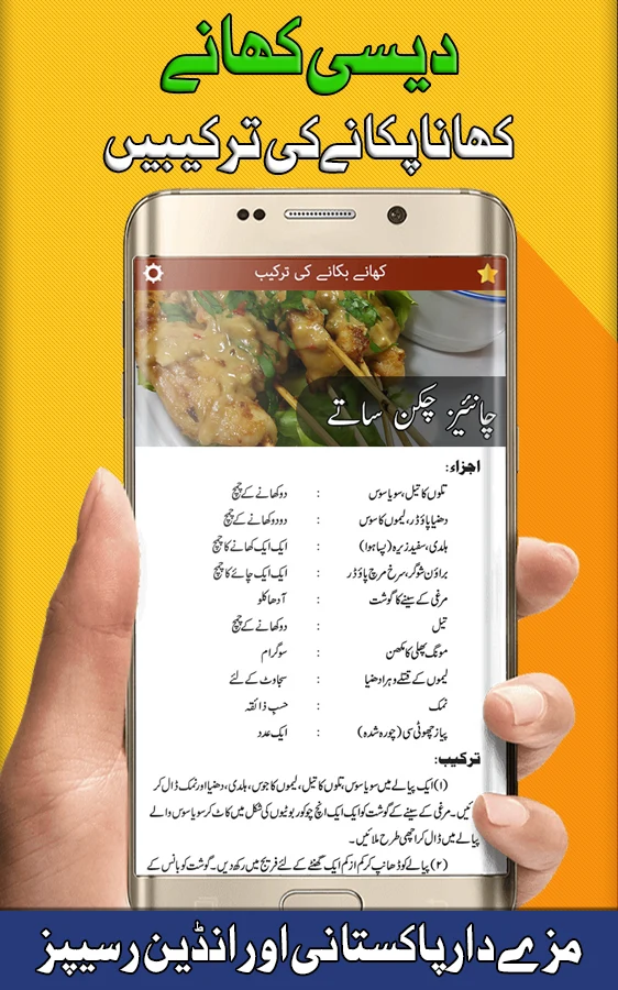 Pakistani Food Recipes screenshot